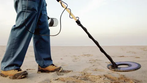 Discover the Top 5 Best Metal Detector Brands of 2021